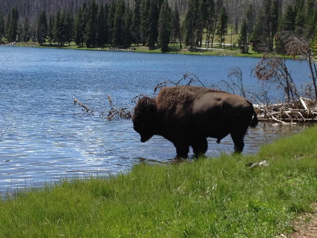 Jackson Hole Activities